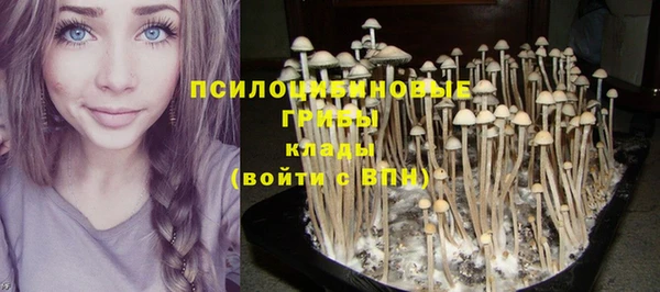 тгк Балабаново